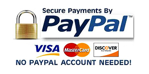 secure checkout via paypal 